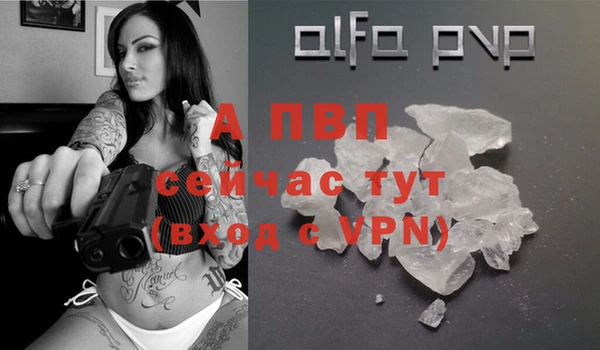 тгк Инсар