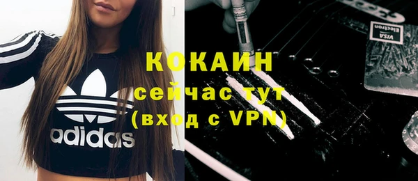 тгк Инсар