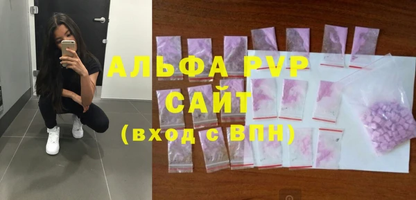 тгк Инсар