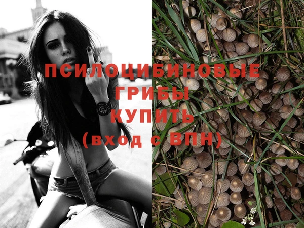 трава Иннополис