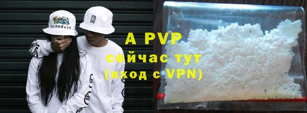 тгк Инсар