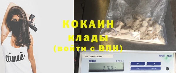 тгк Инсар