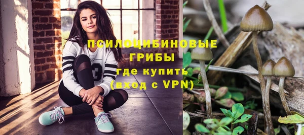 прущие крисы Инта