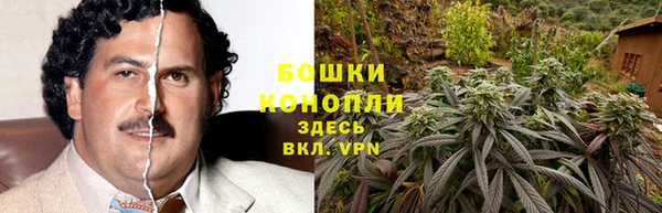 тгк Инсар