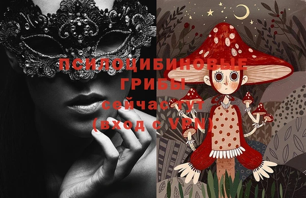 прущие крисы Инта