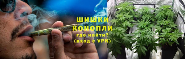 прущие крисы Инта