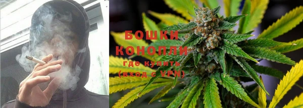 трава Иннополис