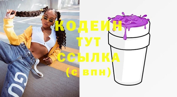 тгк Инсар