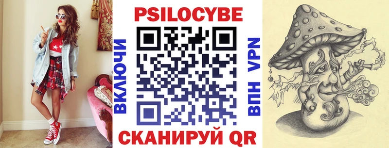 Купить где  Бабаево  Галлюциногенные грибы Psilocybe 