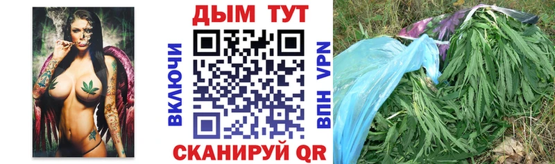 Каннабис White Widow  Купить где  Бабаево 